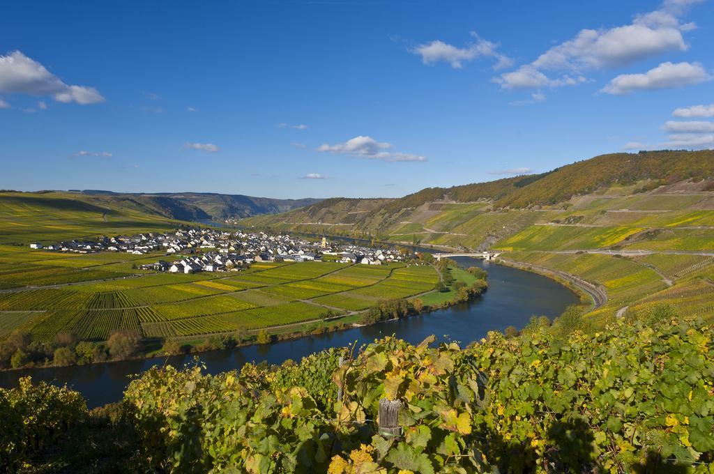 فندق تريتينييمفي  Wein & Gastehaus Hermeshof المظهر الخارجي الصورة
