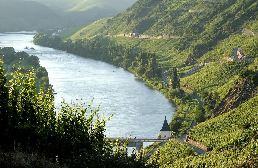 فندق تريتينييمفي  Wein & Gastehaus Hermeshof المظهر الخارجي الصورة