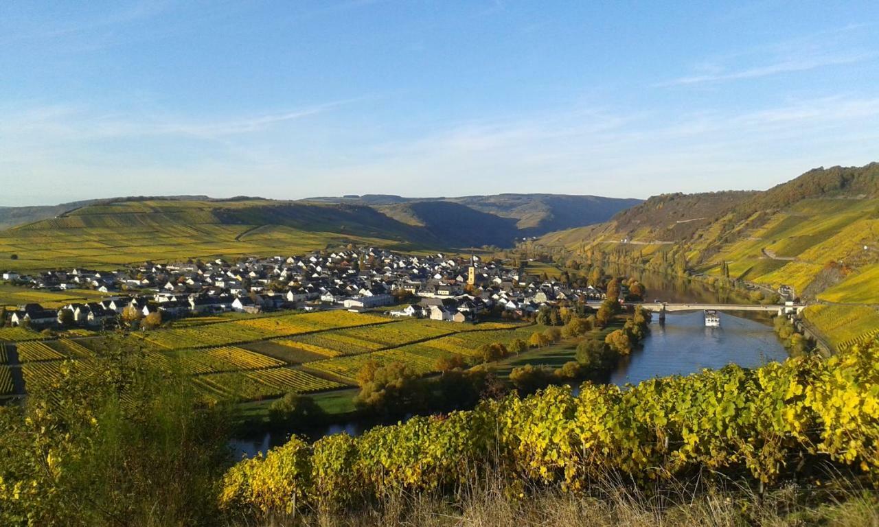فندق تريتينييمفي  Wein & Gastehaus Hermeshof المظهر الخارجي الصورة